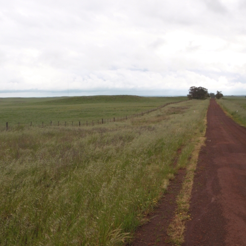 Dundonnell Wind Farm