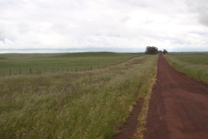 Dundonnell Wind Farm